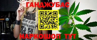 индика Гусиноозёрск