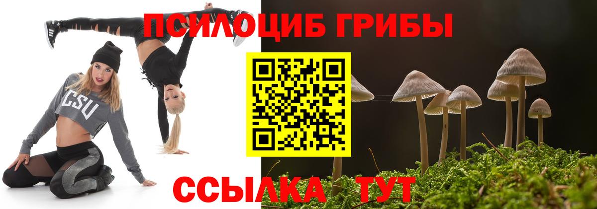 Псилоцибиновые грибы мицелий Железногорск