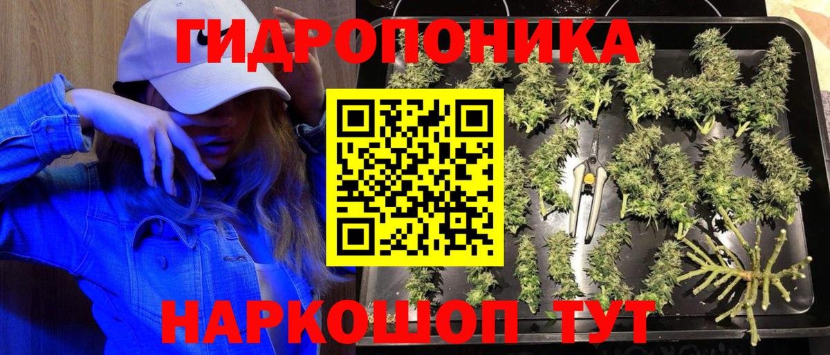 МАРИХУАНА сатива Железногорск